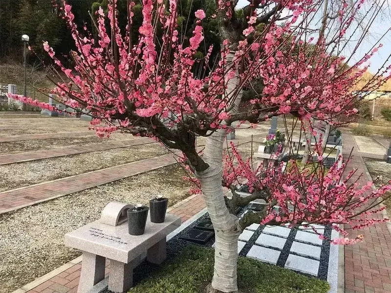 樹木葬区画