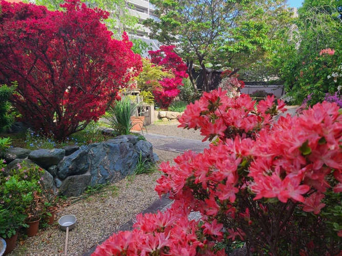 淨國寺墓地 