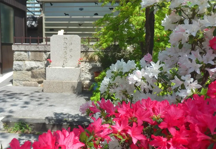 淨國寺墓地 浄国寺のペット供養塔