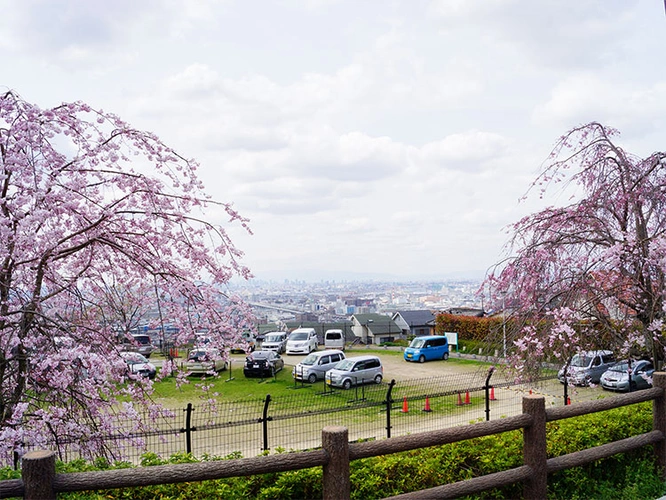 重願寺墓地 駐車場の写真