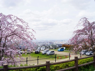 東大阪市にある寺院墓地