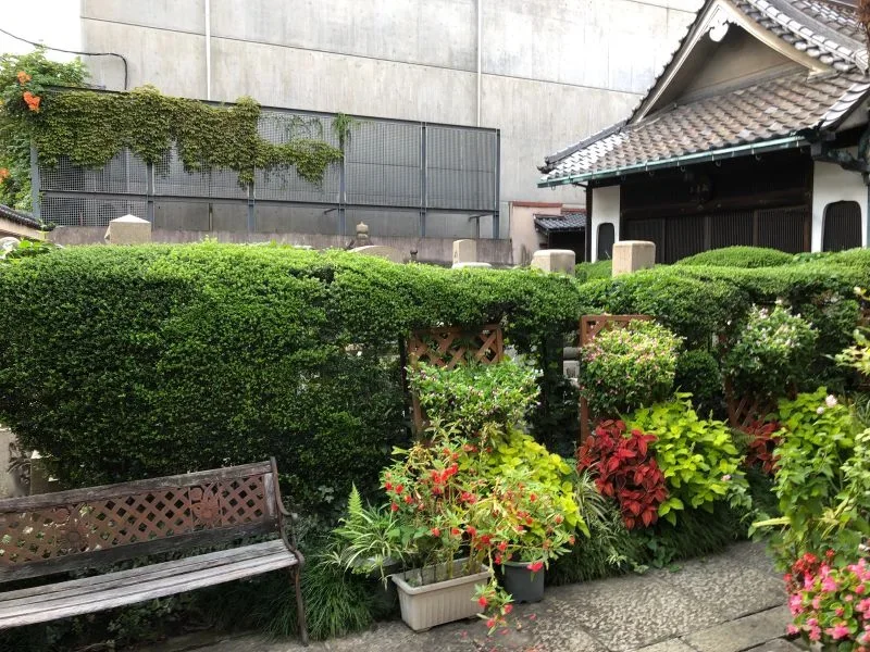 ベンチ