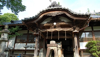 美しい建築と自然に包まれた癒しの環境