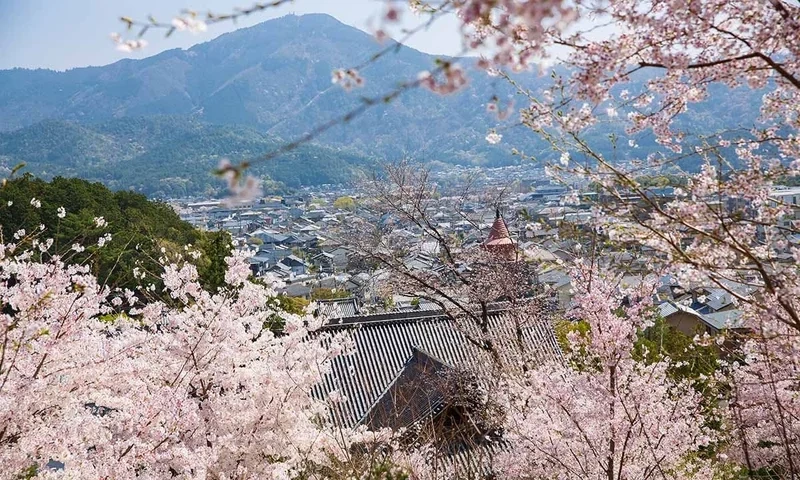 総本山 妙満寺 仏舎利大塔