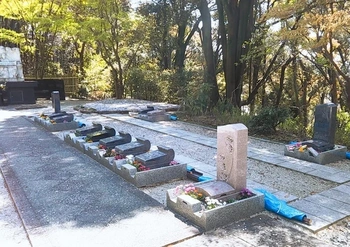 宇治市にある寺院墓地