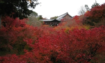 京都市東山区にある寺院墓地