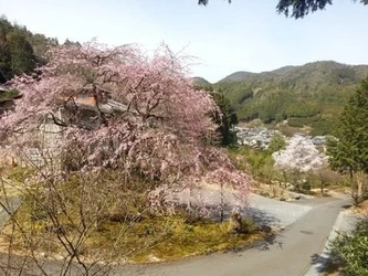 「嵯峨嵐山」駅から車で16分