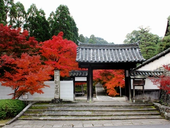 緑豊かで心落ち着く京田辺市の寺院墓地