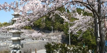 緑豊かで心落ち着く亀岡市の霊園