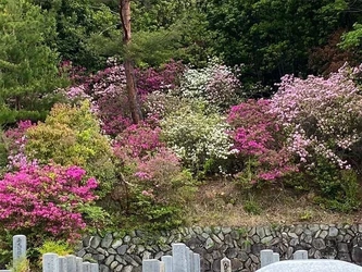 真宗高田派の寺院墓地