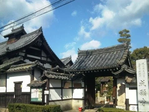 成願寺墓地