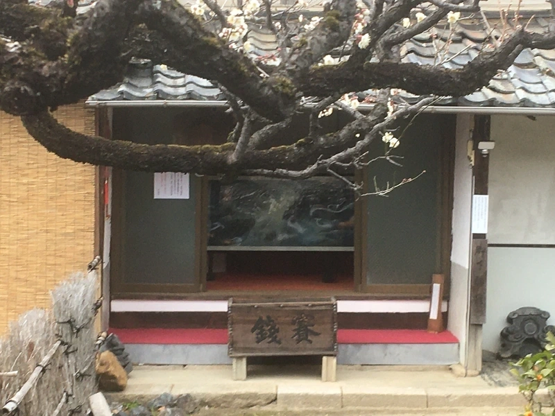 東林院玄関と梅の木