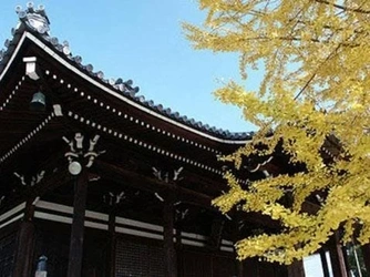 京都市左京区にある寺院墓地