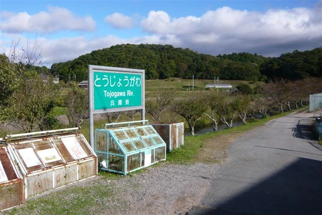 中野霊園 