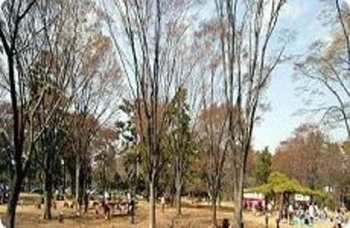 宍粟市にある公営霊園