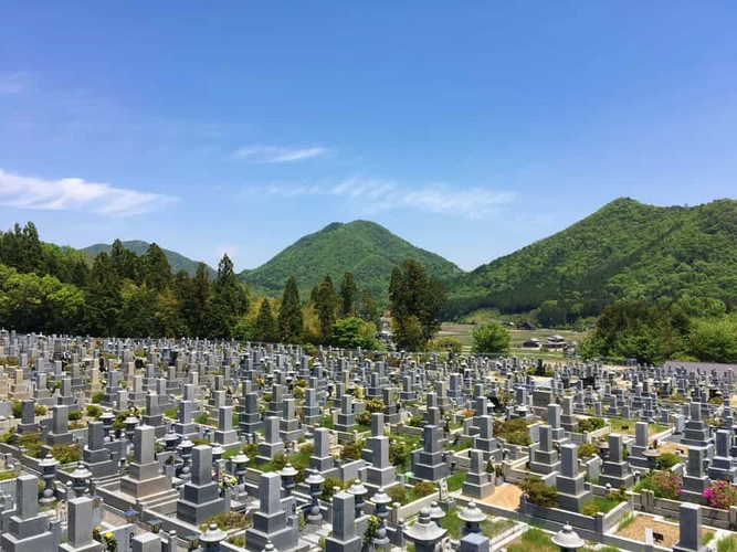 和田寺霊園 一般墓・樹木葬 