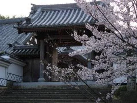 小野市 来迎寺山墓地