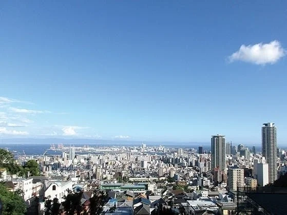 雷声寺 樹木葬 