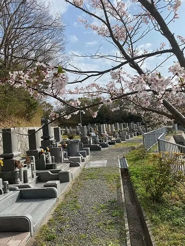 Cemetery Photo 11