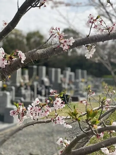 Cemetery Photo 15