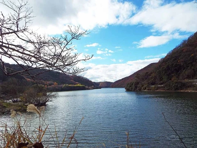 浄蓮寺 永代供養墓 