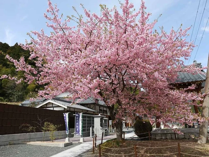 神崎郡神河町 壽福寺 永代供養墓