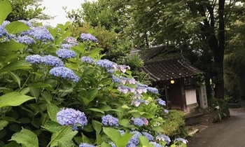 川西市にある寺院墓地