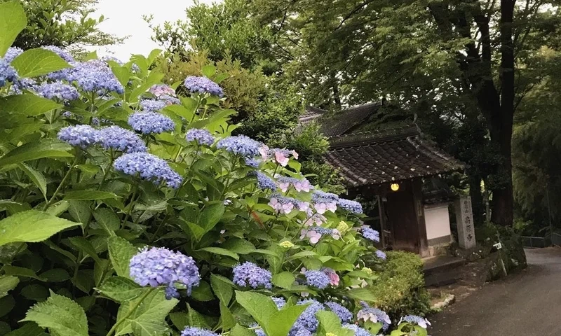 川西市 高原寺浄園 永代供養墓