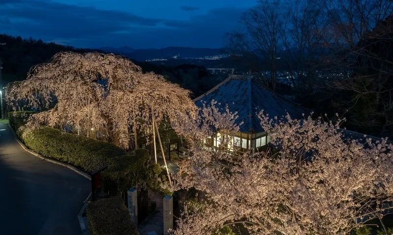 高原寺浄園 永代供養墓 