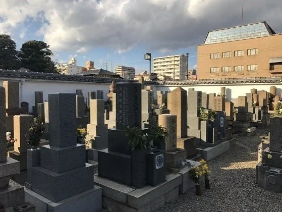 それ以外の兵庫県の市 法園寺 樹木葬