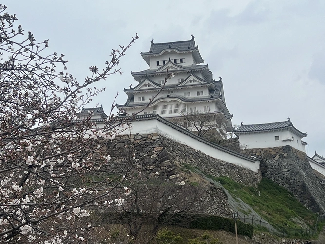 淨福寺 納骨堂 姫路城