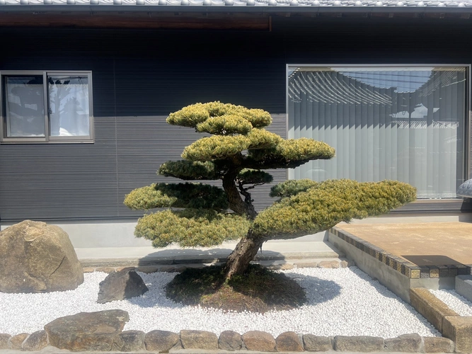 淨福寺 納骨堂 