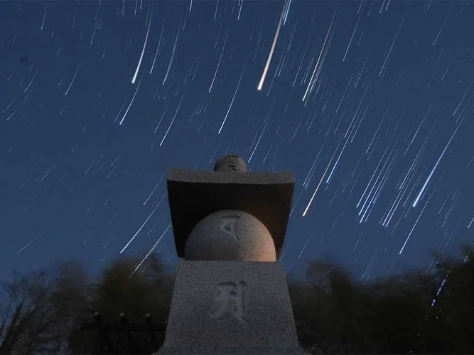 空海寺 天平墓苑 