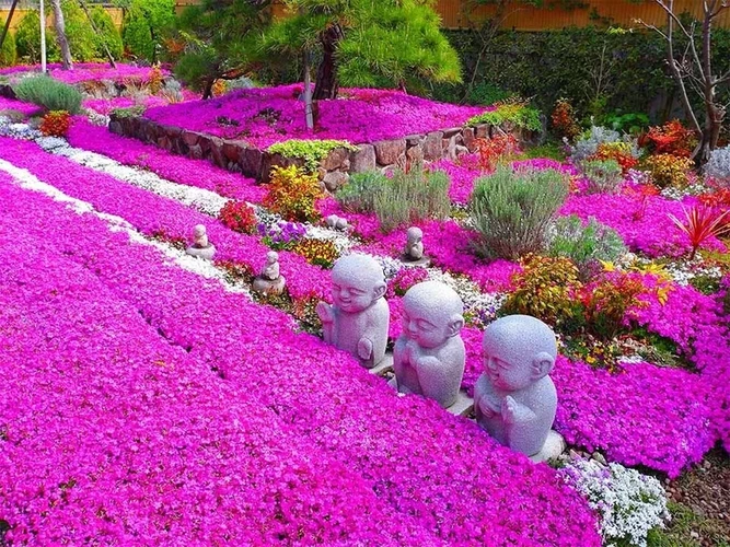 速成寺 納骨堂・樹木葬・一般墓 