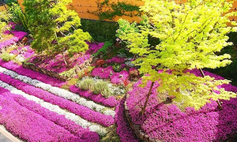 速成寺 納骨堂・樹木葬・一般墓 