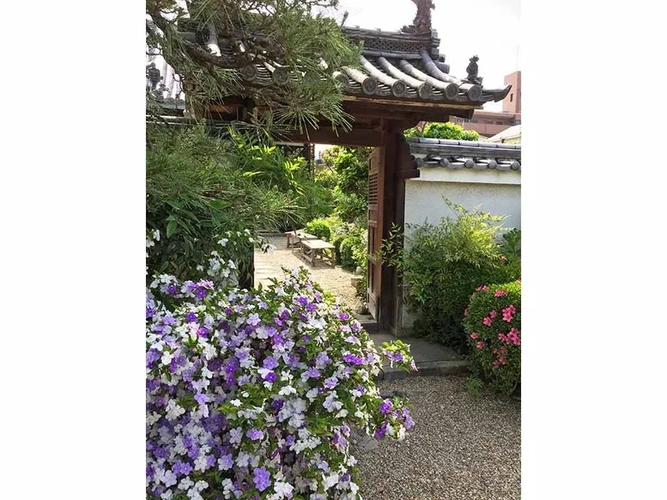  璉珹寺 永代供養墓