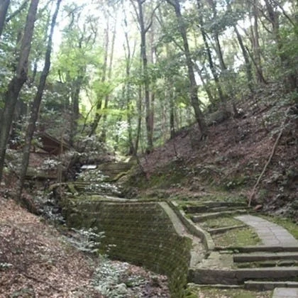 王龍寺 樹木葬・永代供養 