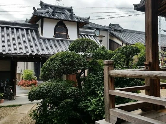 磯城郡田原本町 善福寺 のうこつぼ