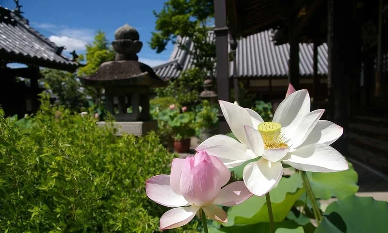 五條市 生蓮寺 永代供養墓