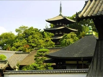 在来仏教の寺院墓地