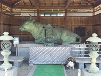 「手原」駅から車で7分