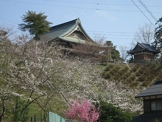 在来仏教の寺院墓地