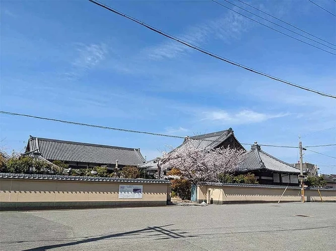 和歌山市 和歌山市城下町の「寿光苑」