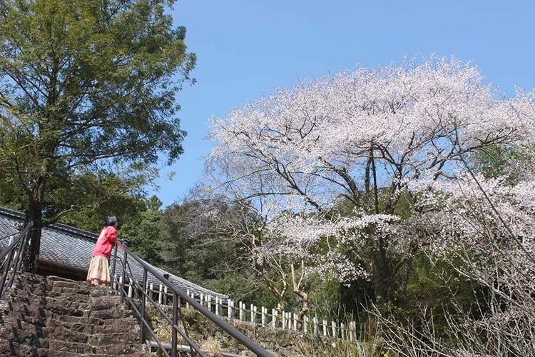 清蔵寺霊園 