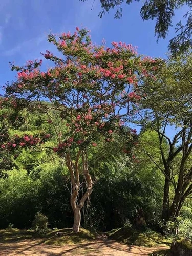 清蔵寺霊園 