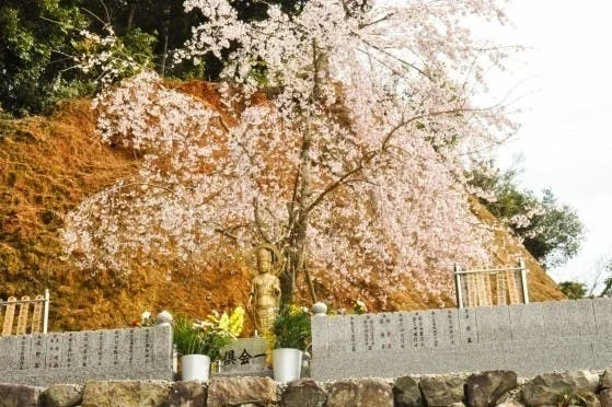 有田郡広川町 樹木葬の広源寺