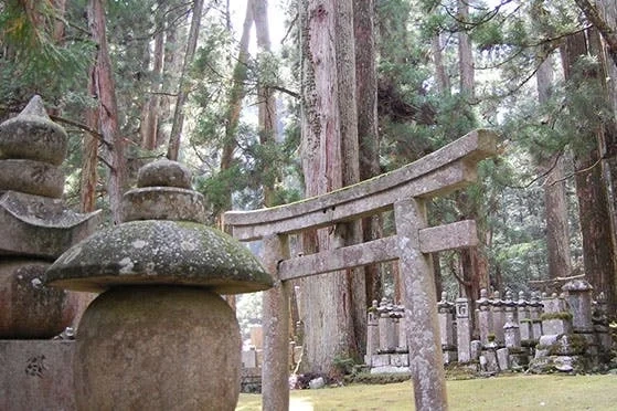 伊都郡高野町 高野山奥の院永代供養「禅定への道」