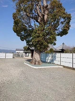 紀の川市 興山寺霊園 永代供養墓