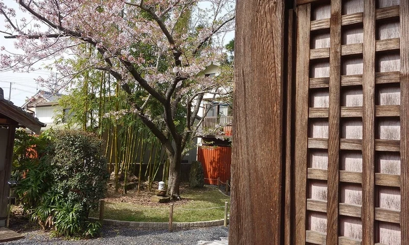 樹木葬「桜雲」 