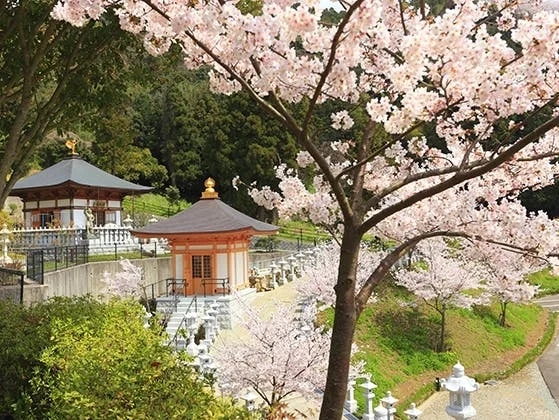 福岡徳純院 永代供養・納骨堂 